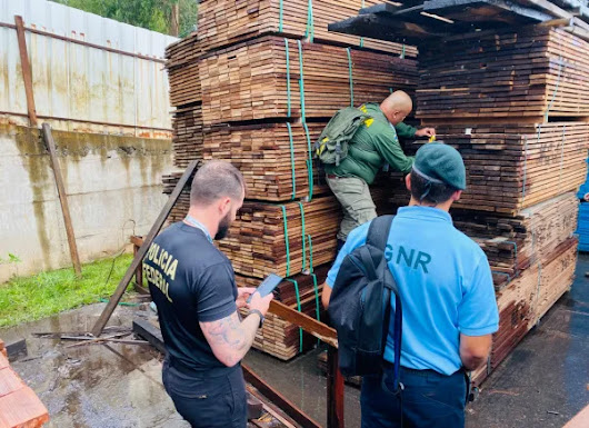 Portugal participou em Operação de combate ao comércio ilegal de madeira