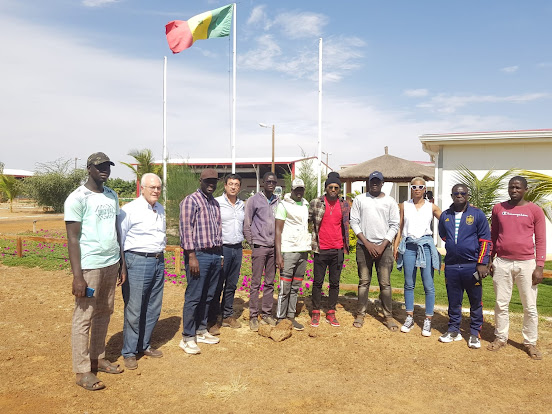 Coimbra | ESAC colabora com entidades do Senegal