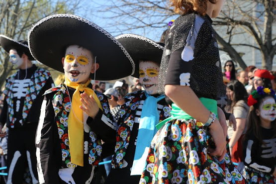 Estarreja | Câmara aprova as comparticipações do maior Carnaval Infantil de sempre