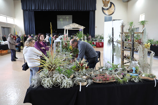 No salão dos Bombeiros Voluntários de Cantanhede. Centenas de pessoas visitaram 4.ª Exposição de Orquídeas
