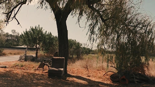 Do cineasta de Cantanhede Vasco Espinhal Otero. Filme “Epopeia Gandareza” chega à Argentina, África do Sul e Estados Unidos