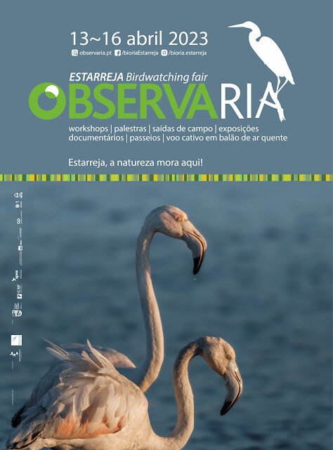 ObservaRia – Estarreja Birdwatching Fair está de volta de 13 a 16 de abril