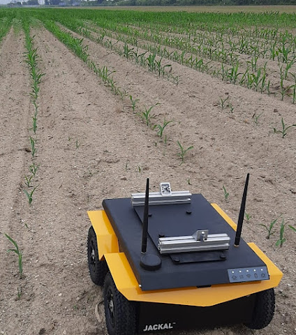 Investigadores da Universidade de Coimbra desenvolvem sistema inovador para monitorização de plantações de milho