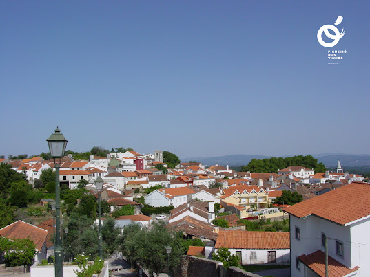Figueiró dos Vinhos | Câmara aprova novo protocolo de Apoio à Infância