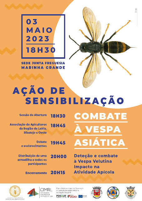SENSIBILIZAÇÃO SOBRE VESPA ASIÁTICA NA MARINHA GRANDE