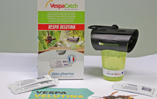 Proença-a-Nova | Armadilhas e atrativos para captura da vespa velutina disponíveis na Casa das Associações