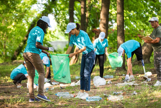IPDJ: Candidaturas abertas para entidades promotoras de «Voluntariado Jovem para a Natureza e Florestas»