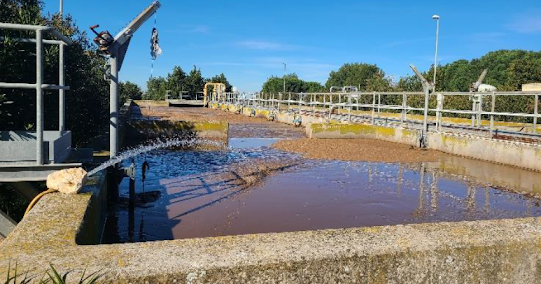 Consórcio europeu de investigação é financiado pelo programa Horizonte 2020. Projeto cria primeira quinta na Europa que utiliza águas residuais para a criação de peixe e vegetais
