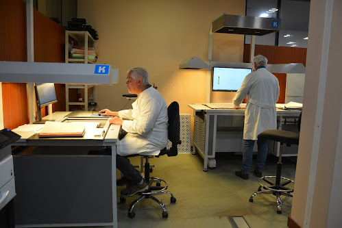 Marinha Grande | ARQUIVO MUNICIPAL PROMOVE DIA ABERTO