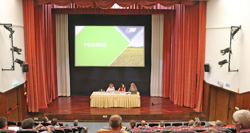 Proença-a-Nova | AEBB realiza atendimento presencial às empresas do concelho todos os meses