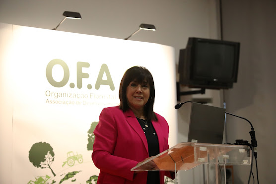 Autarca participou em seminário no Dia da Floresta na Expofacic. Helena Teodósio entende que “modelo de exploração da floresta tem de evoluir”