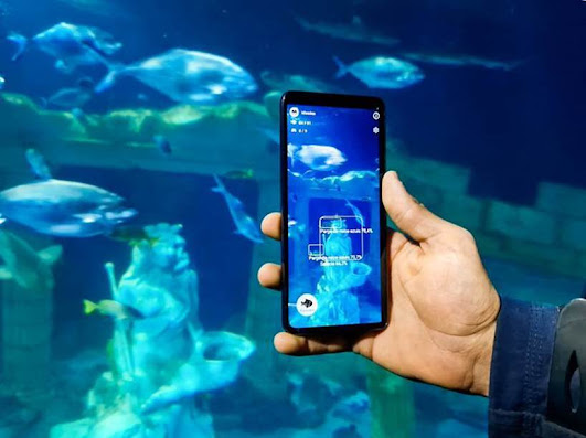 Inteligência artificial chega ao aquário do Porto. SEA LIFE Porto traz a primeira App de identificação de espécies marinhas para Portugal