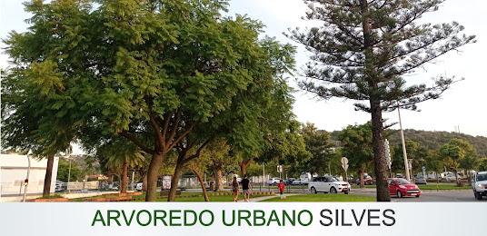 MUNICIPIO DE SILVES JÁ INVENTARIOU MAIS DE 2.200 ARVORES NA CIDADE DE SILVES
