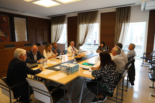 Documento vai estar em consulta pública. Executivo aprova regulamento para criação de colónias de gatos em Cantanhede