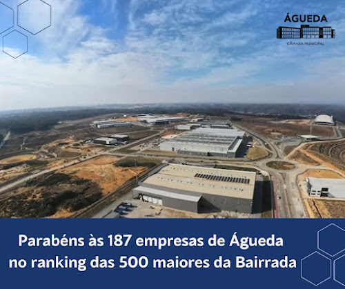 Águeda lidera ranking das maiores empresas da Bairrada