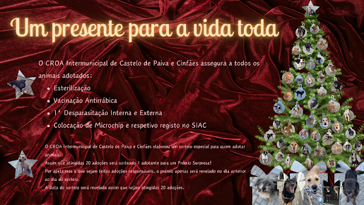 Sorteio de prémio surpresa atingidas as 20 adopções. Croa Intermunicipal de Castelo de Paiva e Cinfães promove Campanha de Adopção no periodo de Natal