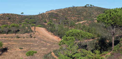 CONSULTA PÚBLICA PARA PROPOSTA DA OPERAÇÃO INTEGRADA DE GESTÃO DA PAISAGEM DA NOVA SERRA DECORRE ATÉ 17 DE JANEIRO DE 2024