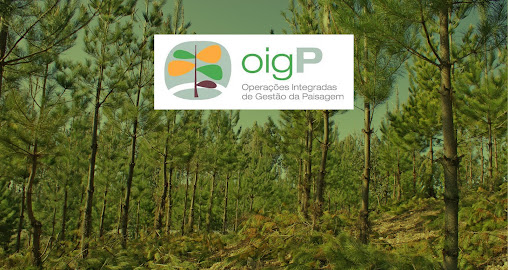 Proença-a-Nova | Aberta discussão pública das OIGP’S de Fórneas, Corgas e Alvito da Beira