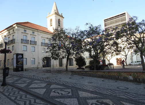 Aveiro 2024: Concerto inédito de Marta Pereira da Costa no Teatro Aveirense