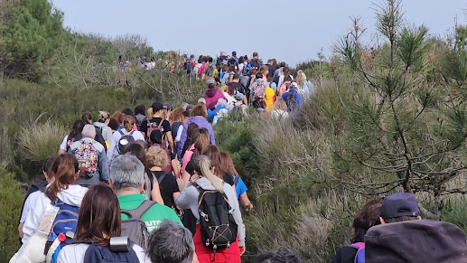 Marinha Grande | CERCA DE 250 PARTICIPANTES NO PRIMEIRO PASSEIO PEDESTRE DE 2024