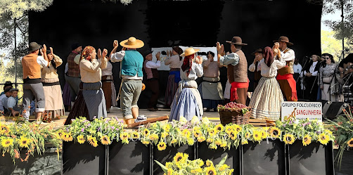 No âmbito do programa “Visitas ao Património”. Câmara de Cantanhede promove visita guiada aos “Encantos da Gândara”