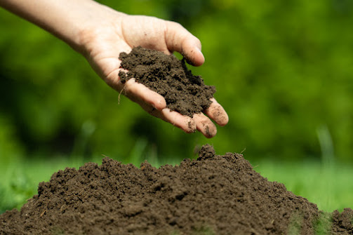 Universidade de Aveiro integra projeto europeu para promover a educação sobre o solo