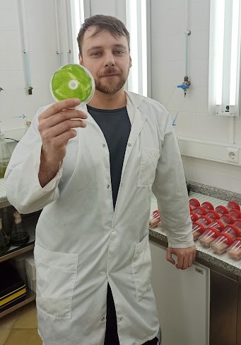 Coimbra | Investigadores testam aplicação de óleos essenciais para eliminar e prevenir o crescimento de microalgas em monumentos