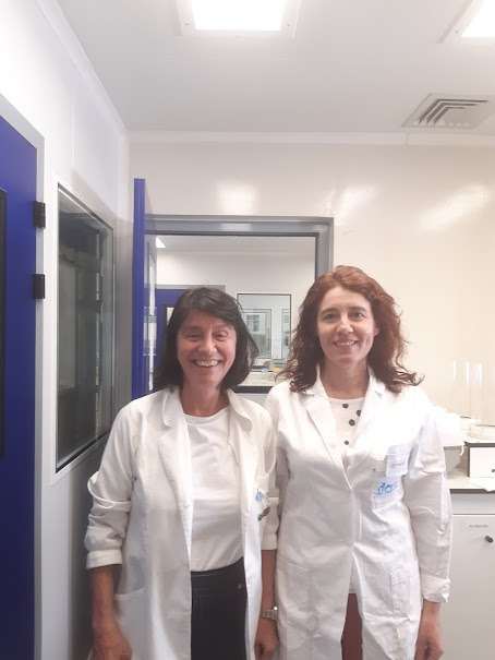 Estudo da Universidade de Coimbra sugere que bactérias sobrevivem em meio hospitalar através da degradação de plásticos