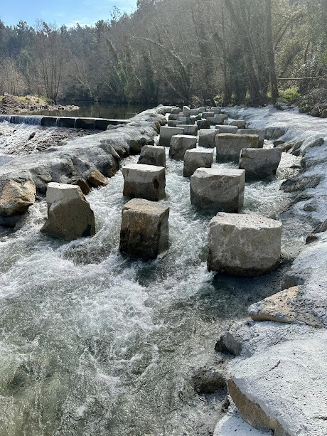 Projeto LIFE Águeda apresenta boas práticas de passagens para peixes