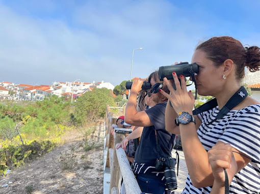 Marinha Grande | PROGRAMA DE SENSIBILIZAÇÃO AMBIENTAL DA BANDEIRA AZUL