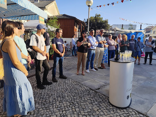 Cantanhede | Programa decorre até domingo, 25 de agosto. Festival Catraia decorre na Praia da Tocha com animação cultural e ações centradas na sustentabilidade ambiental