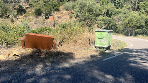 Proença-a-Nova | Município sensibiliza para recolha de monos domésticos