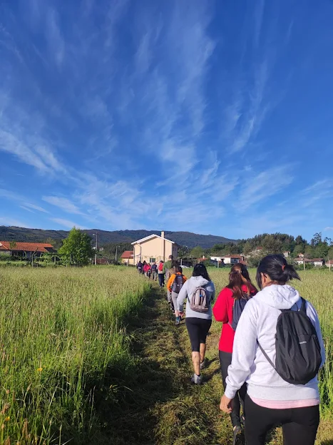 Oliveira de Frades | Rota dos Rios e Levadas