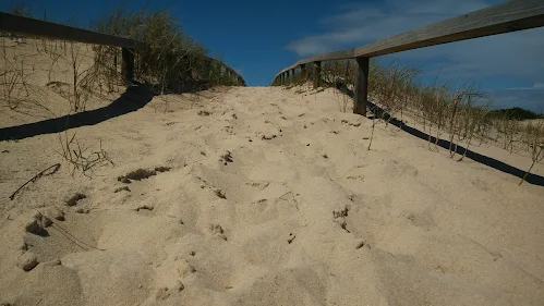 Marinha Grande | REABILITAÇÃO DE PASSADIÇO NA PRAIA DA VIEIRA
