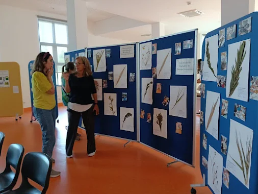 Cantanhede | Projeto encerrou na terça-feira, dia 24 de junho. “Herbário Escolar de Plantas Invasoras” envolveu os alunos na preservação da natureza