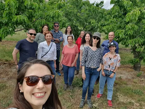 Universidade de Coimbra | Estudo identifica pela primeira vez estirpes de bactéria que afeta gravemente várias culturas agrícolas em Portugal