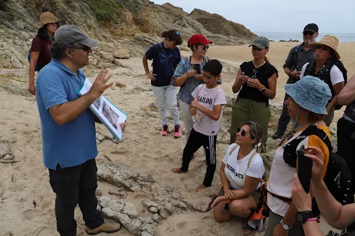 Marinha Grande | PASSEIO NA NATUREZA REVELA GEOLOGIA COSTEIRA DE SÃO PEDRO DE MOEL