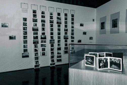 Exposição: “Já não se contam ovelhas para dormir” no Museu Municipal de Oliveira de Frades
