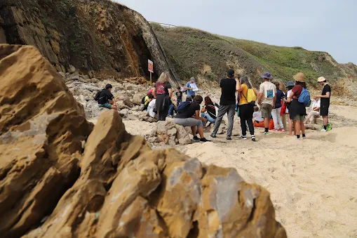 Marinha Grande | PASSEIO NA NATUREZA DÁ A CONHECER AS ARRIBAS CALCÁRIAS DE SÃO PEDRO DE MOEL