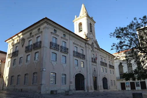 Aveiro cresce acima da média nacional e confirma dinâmica de desenvolvimento