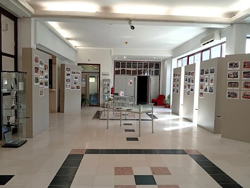Cantanhede | Durante o mês de setembro. Exposição sobre os 75 anos da Sociedade Columbófila de Cantanhede patente na Biblioteca Municipal