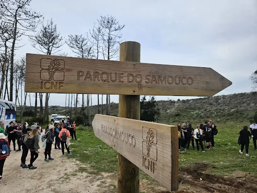 Marinha Grande | PASSEIO NA NATUREZA DÁ A CONHECER OS HABITATS DO BIÓTOPO CORINE DO SAMOUCO