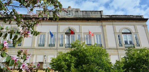 Silves | NOVOS PROCEDIMENTOS CONCURSAIS COM CANDIDATURAS ATÉ 30 DE JANEIRO