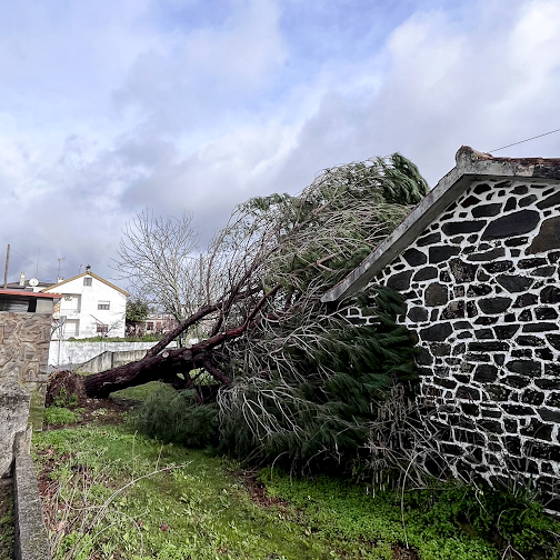 Município disponibiliza formulário para levantamento de danos