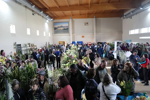 No próximo fim de semana. Cantanhede acolhe 7.ª Exposição de Orquídeas