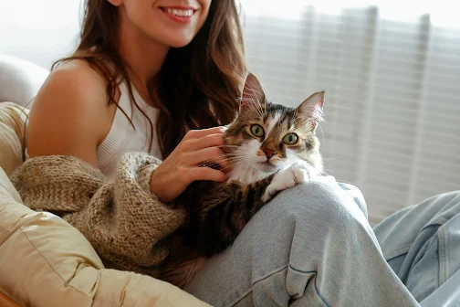 Encontra-se a decorrer até 31 de agosto. Campanha de apoio à esterilização de animais de companhia já iniciou