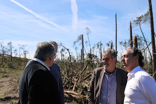 MARINHA GRANDE RECEBE SECRETÁRIO DE ESTADO DAS FLORESTAS PARA ACOMPANHAMENTO DOS TRABALHOS NO PINHAL DO REI
