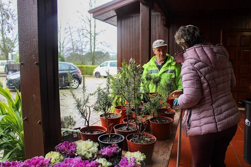 Proença-a-Nova | “Troque Resíduos por Plantas” regressa dia 20 de março