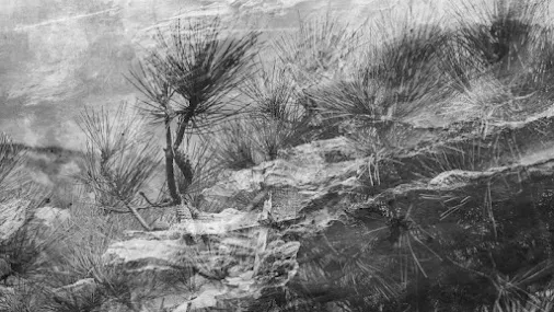 ALTERAÇÃO DE DATA DE INAUGURAÇÃO da Exposição “A Memória dos Pássaros Que Não Voam”