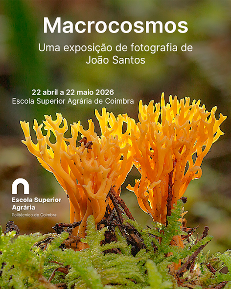 22 de abril a 22 de maio de 2026 | Escola Superior Agrária de Coimbra – Corredor do Edifício Principal. Exposição de Fotografia “Macrocosmos”